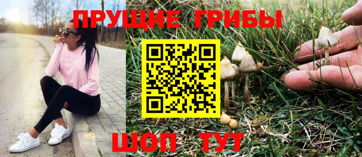 Мирный  Галлюциногенные грибы Cubensis  Вход с VPN  купить наркоту  Псилоцибиновые грибы мицелий 